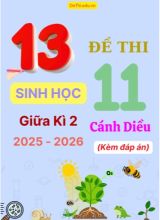 Tuyển tập 13 Đề thi giữa kì 2 năm học 2025-2026 môn Sinh học 11 Cánh Diều (Kèm đáp án)